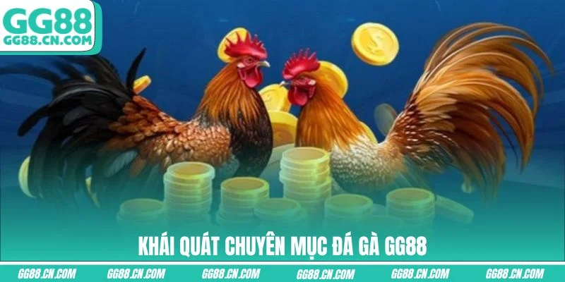 Khái quát chuyên mục đá gà GG88