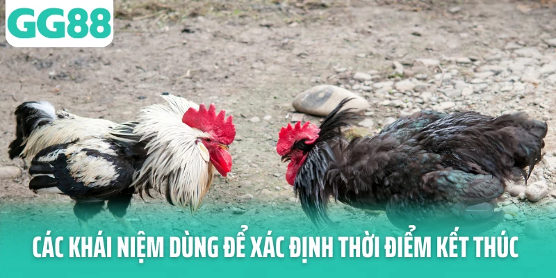 Các khái niệm dùng để xác định thời điểm kết thúc